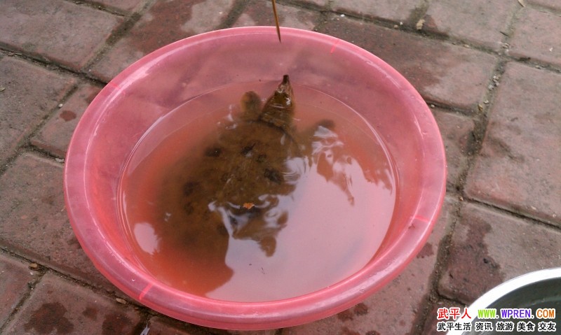 姓鲜的人口_人口普查图片(2)