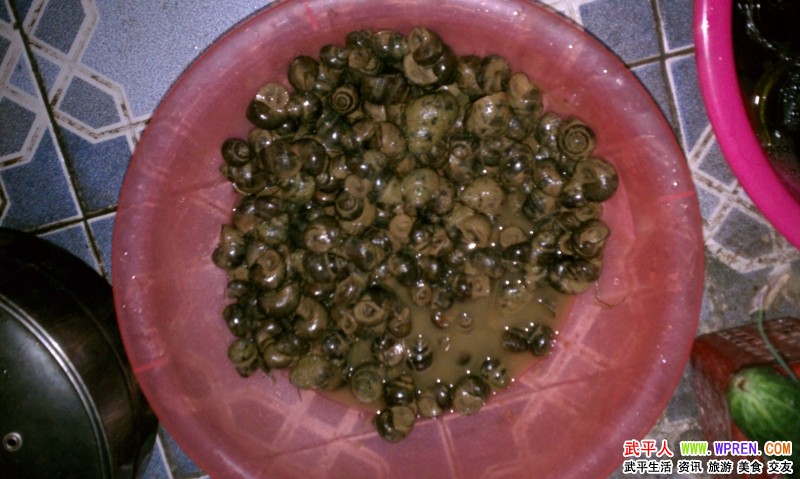 姓鲜的人口_人口普查图片(2)