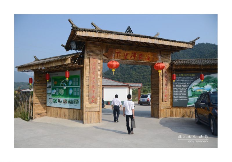 龙岩江山人口_龙岩江山石佛公图片