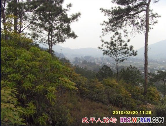 十方村人口_十方普贤菩萨(2)